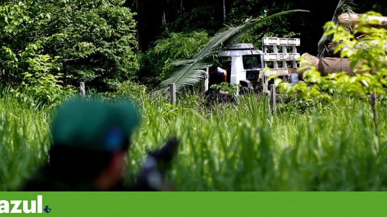 Desflorestação na Amazónia e no Cerrado cai 9% em 2025