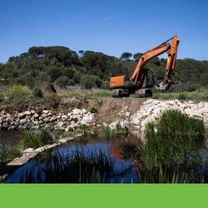 Mais de 13 mil barreiras nos rios de Portugal: quantas já estão obsoletas