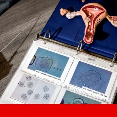 Novas pistas sobre a queda da fertilidade feminina com a idade