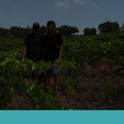 Dois amigos de infância e uma vinha no Douro, inspirado pelo exemplo francês