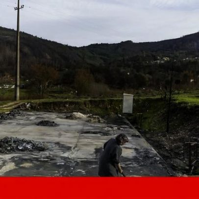 Veados invadem após incêndios, o apoio é quase inexistente