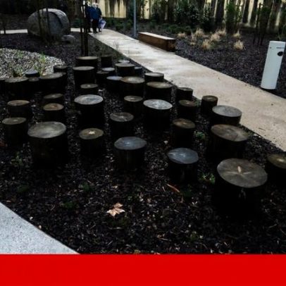 Câmara do Porto adia requalificação do Jardim da Corujeira por tempo indeterminado