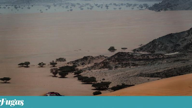 O Rali Dakar decorre desde 3 de Janeiro na Arábia Saudita