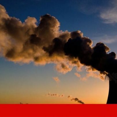 Empresa portuguesa lança plataforma inovadora de gestão de emissões de carbono