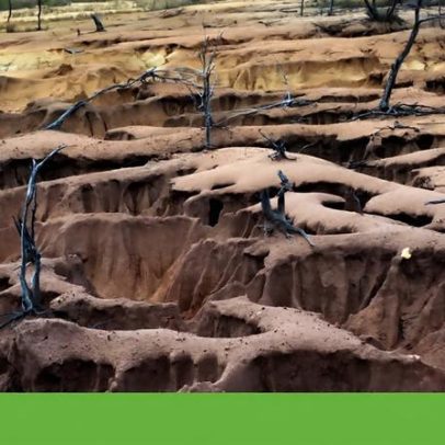 ONU alerta para falência global da água