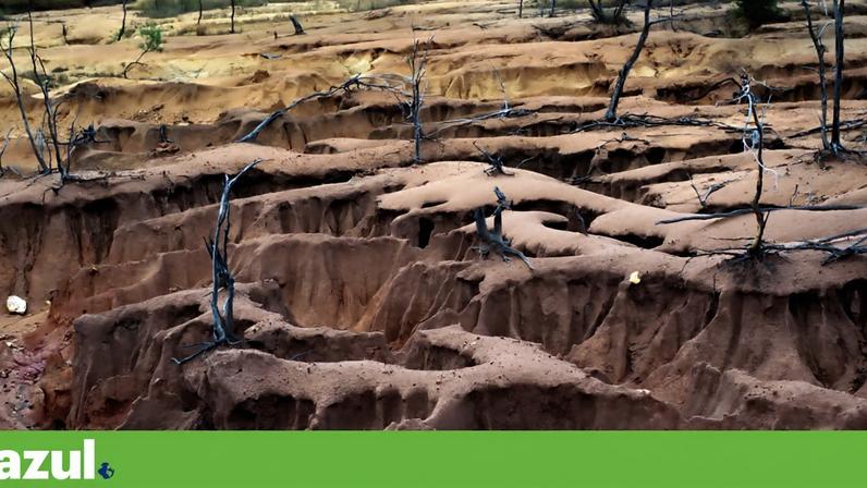 As árvores morrem devido à erosão natural na base da paisagem de Mesa, a oeste de Charters Towers, Queensland