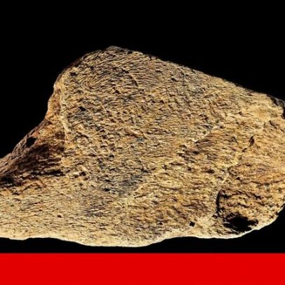 Pré-históricos europeus criaram ferramentas de osso de elefante há 500 mil anos