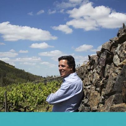 Branco de agricultura: vinhas velhas revelam terroir único
