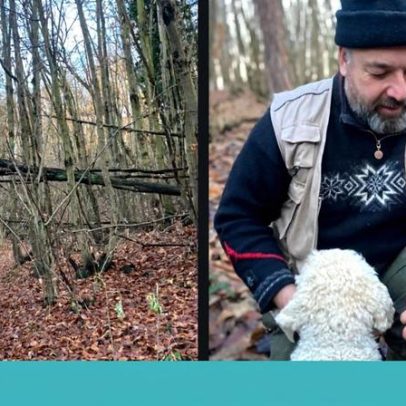 Piemonte tem trufas o ano inteiro, reportagem na caça pelos bosques
