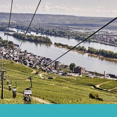 Margens do Reno: entre Nome da Rosa e vinhos