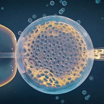 Estudo identifica fatores genéticos ligados à perda gestacional