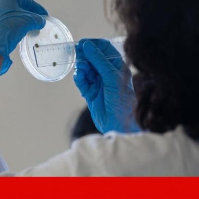 Portugal ganha mais três bolsas europeias