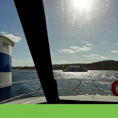 Bóias desaparecidas e árvores submersas dificultam navegação no Alqueva