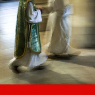 Grupo Vita regista menos vítimas em 2025, mas alerta que o problema não acabou