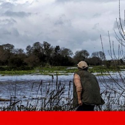 Mau tempo: homem morre após árvore cair sobre carro; 850 mil sem energia