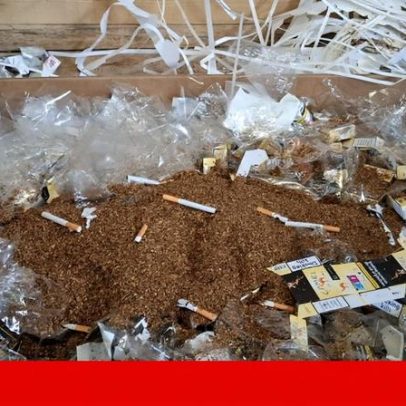 GNR desmantela fábrica clandestina de tabaco em Vila Pouca de Aguiar