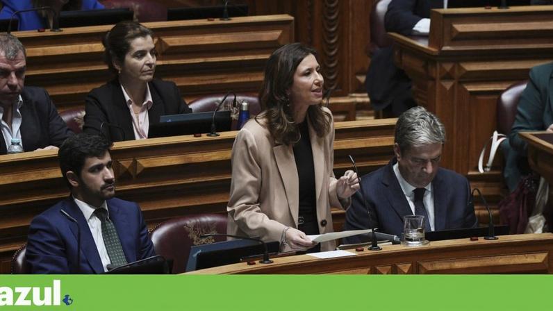 A presidente da Iniciativa Liberal, Mariana Leitão, com elementos da sua bancada parlamentar, incluindo Jorge Miguel Teixeira (à esquerda)