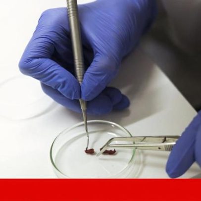 Bolseiros de doutoramento vivem em contenção de gastos para sobreviver