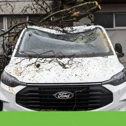 PS, Livre e PAN esperam que Parlamento rejeite delírio negacionista da IL