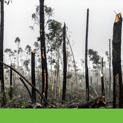 Tempestade Kristin afeta sementeiras de Outono e Inverno