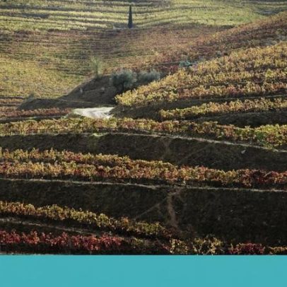 Usar aguardente 100% regional no Porto é inviável e arriscado