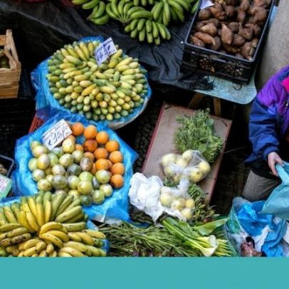 Madeira prevê afluência quase massiva de chefs do guia Michelin