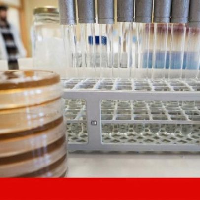 Orçamento do Governo para investigação atinge mínima histórica em 2024