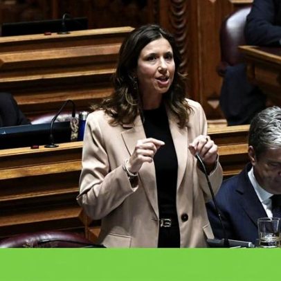 PSD opõe-se a alterações à Lei-Base do Clima propostas pela IL