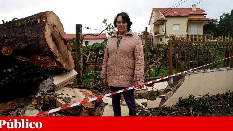 Maria de Lurdes Gonçalves junto ao muro da sua propriedade que foi destruído por um enorme sobreiro que caiu: "Nós ouvimos um barulho tão forte, tão forte, que parecia ter caído uma casa"