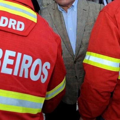 Homem de 55 anos morre após árvore cair em Felgueiras