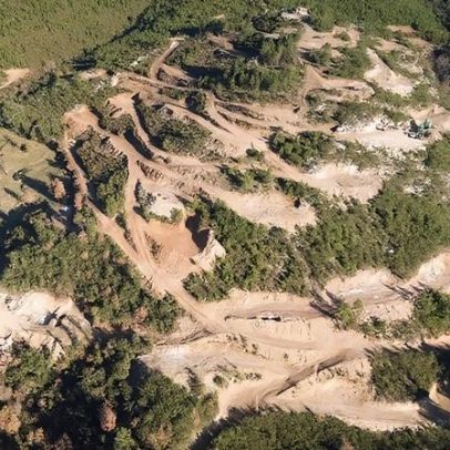 Bloco questiona Governo sobre apoio à Savannah