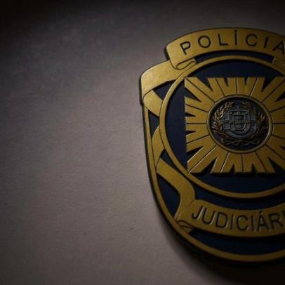 Grupo neonazi 1143 alvo de megaoperação da PJ por crimes de ódio