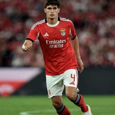 Benfica confirma lesão de António Silva já conhecida