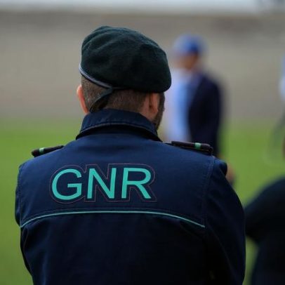 Cerca de 20 milhafres-reais encontrados mortos em Leomil, na Guarda