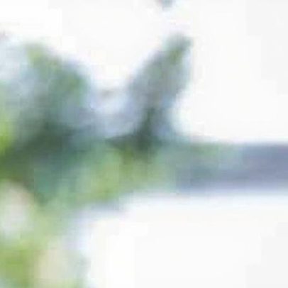 EUA agradecem ao Equador pelo apoio contra o narcoterrorismo