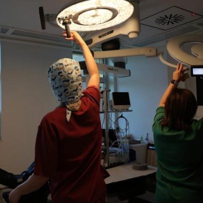 Centro de Medicina de Reprodução de São João duplica produção