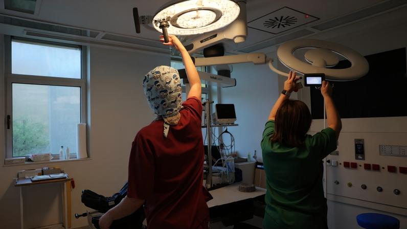 Centro de Medicina de Reprodução de São João duplica produção