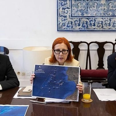 Reserva marinha D. Carlos entra em consulta pública