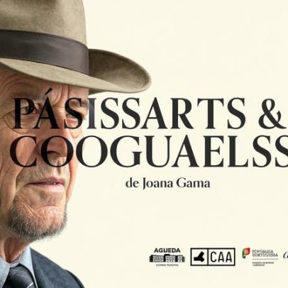 Artes de Águeda recebe espetáculo Pássaros & Cogumelos com entrada gratuita
