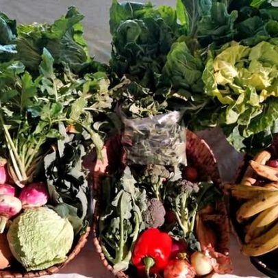 Fruta e legumes do mercado solidário apoiam a Misericórdia de Albergaria-a-Velha