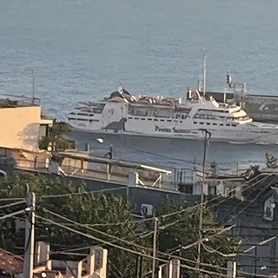 Lobo-marinho participa na manutenção anual do porto do Funchal