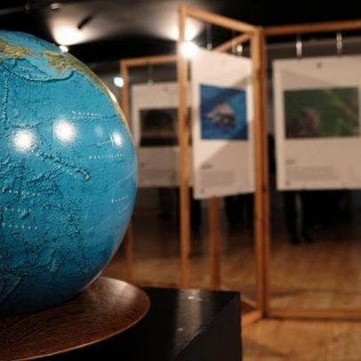Águeda inaugura Ano Verde Europeu com mostra 'Bichos de cá, Bichos de lá'