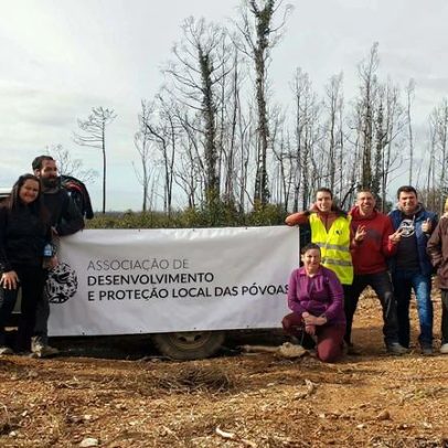 Valongo do Vouga recebe nova intervenção de restauro ecológico