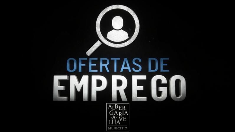 Gabinete de Inserção Profissional de Albergaria-a-Velha divulga ofertas de emprego