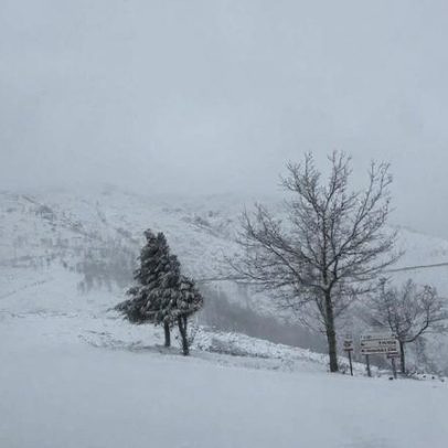 Neve provoca cortes de várias estradas no concelho de Arganil