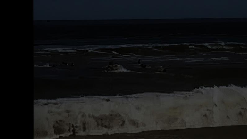 Impressionante: surfistas salvam Demichelis e os filhos de se afogarem no mar
