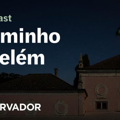 Erro grave de Cotrim de Figueiredo impacta campanha