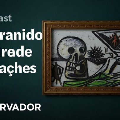 Camélia única no mundo nasce em Ínsua