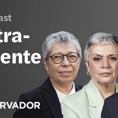 País com mais cãezinhos do que bebés enfrenta desafio demográfico