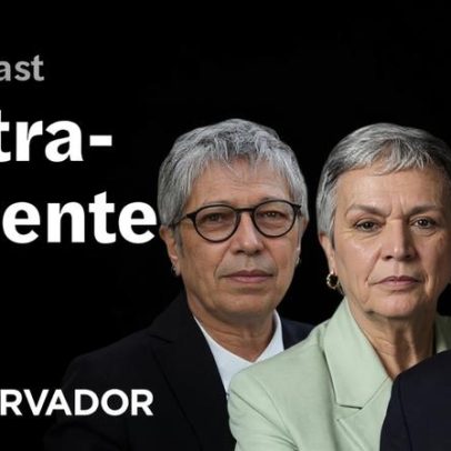 Debate sobre demografia: mais animais que bebés no país